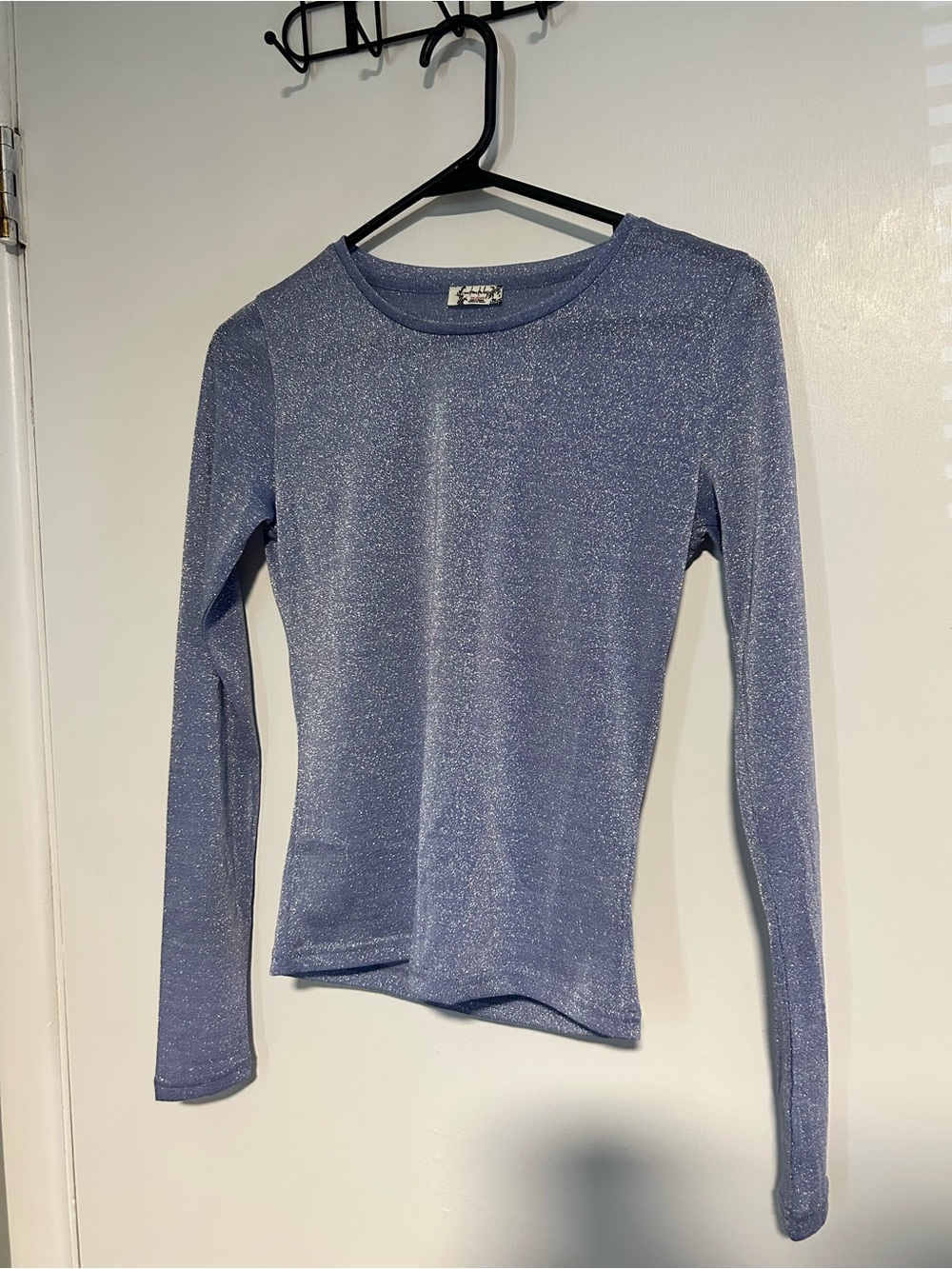 Free people Shimmery Light Blue Long-Sleeve Crewneck Top